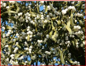 Lire la suite à propos de l’article 2026