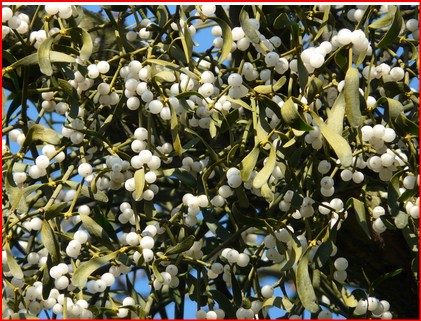 You are currently viewing 2026