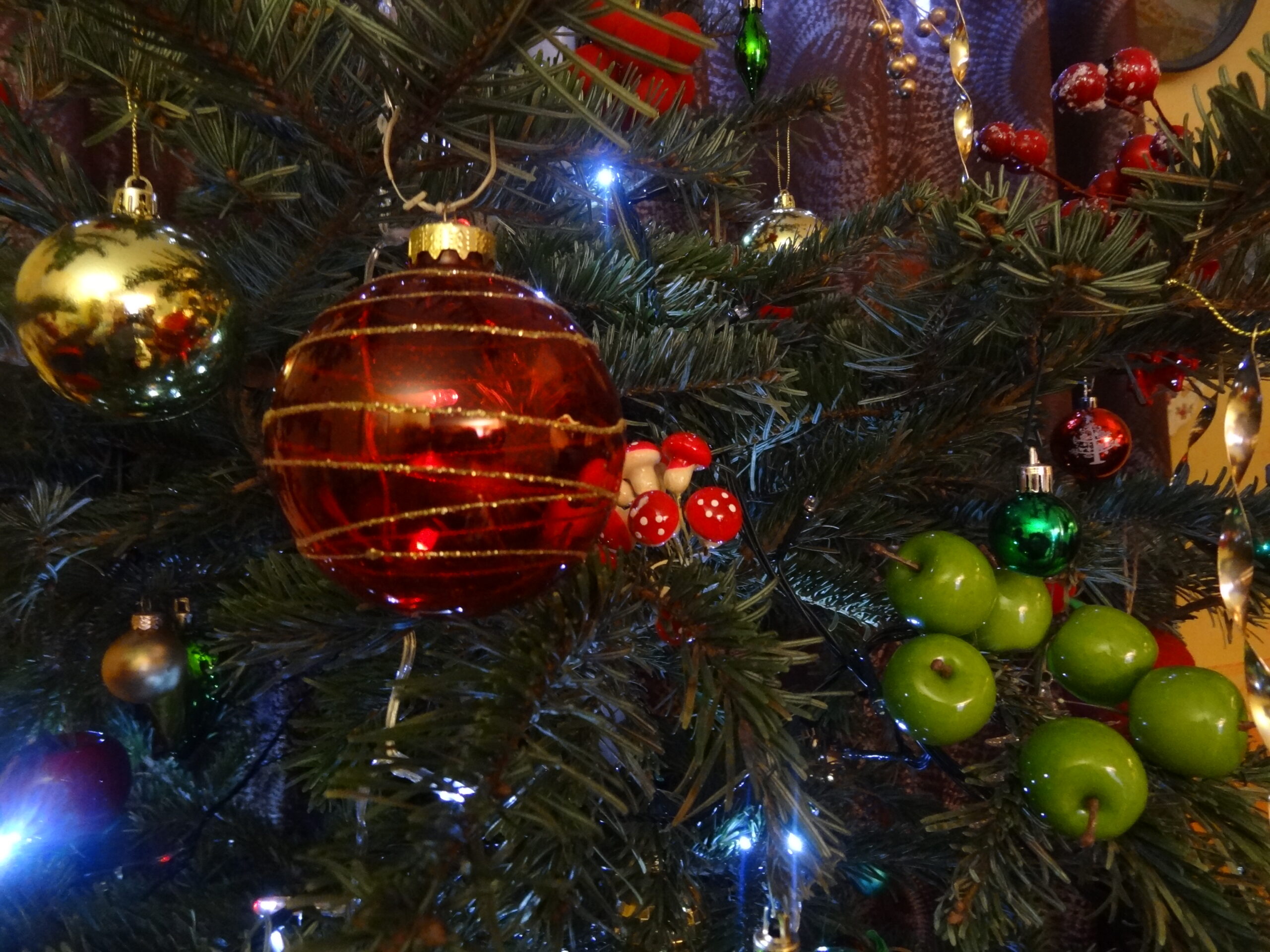 Lire la suite à propos de l’article C&rsquo;EST NOËL